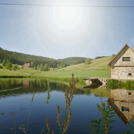 Ferienhaus Im Schwarzwald Am See "Backhaeusle" Villa Hornberg Dış mekan fotoğraf