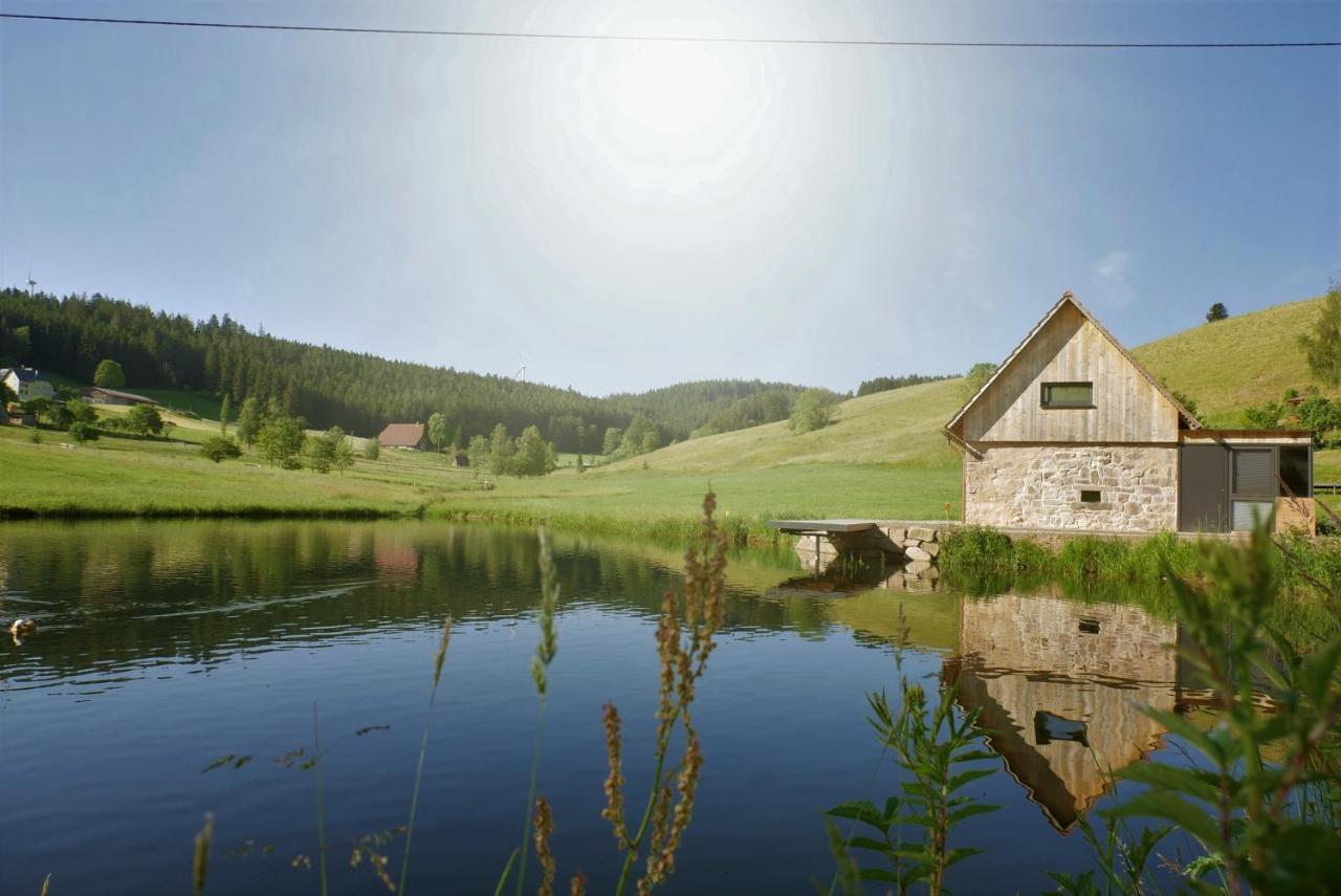 Ferienhaus Im Schwarzwald Am See "Backhaeusle" Villa Hornberg Dış mekan fotoğraf